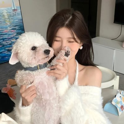 求婚大作战
